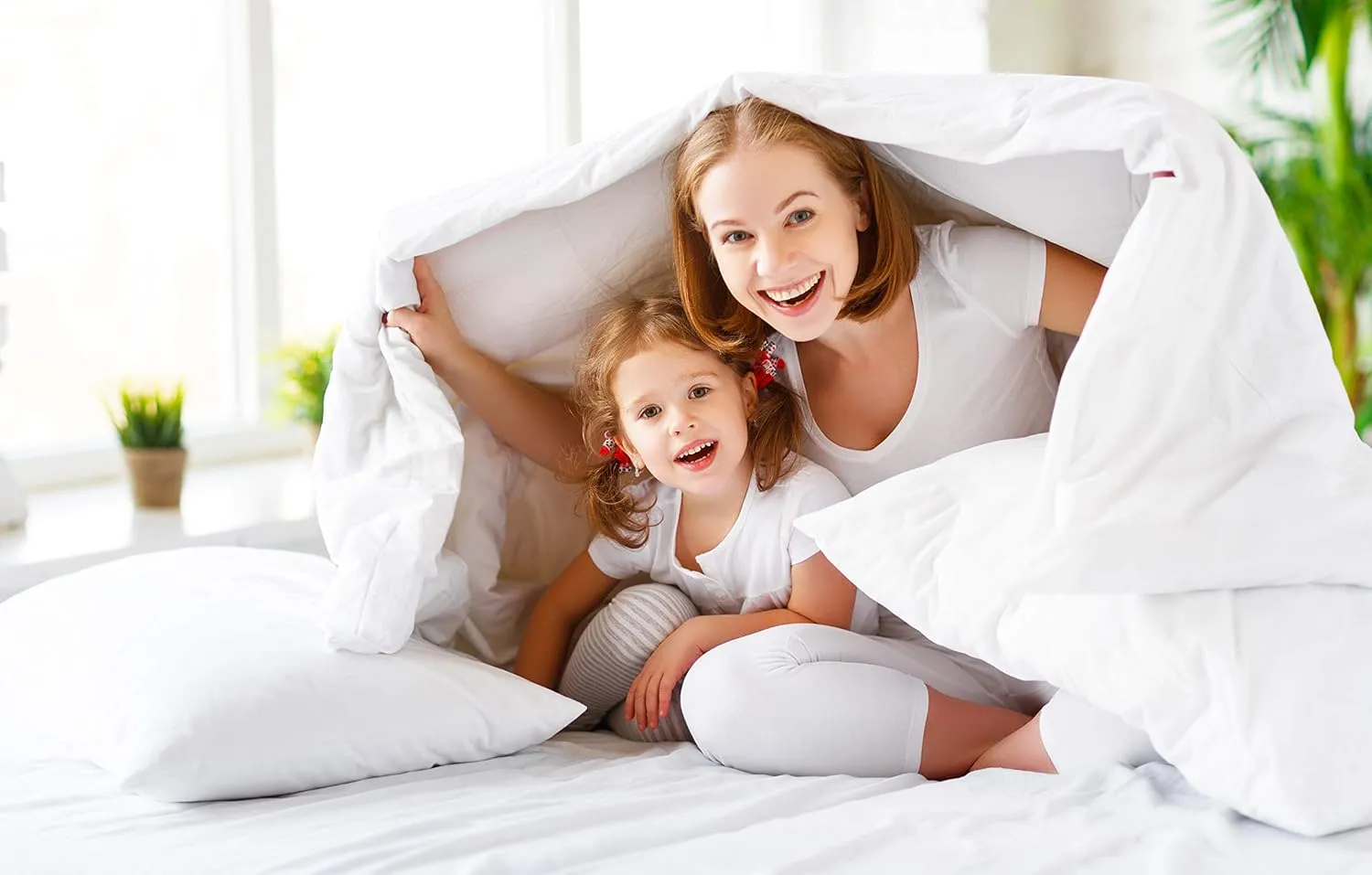 Elegant Comfort 1500 Premier Wrinkle & Fade Resistant Hotel Quality 4-Piece Bed Sheet Set Ultra Soft Luxurious Bed Sheet Set Includes Flat Sheet, Fitted Sheet and 2 Pillowcases