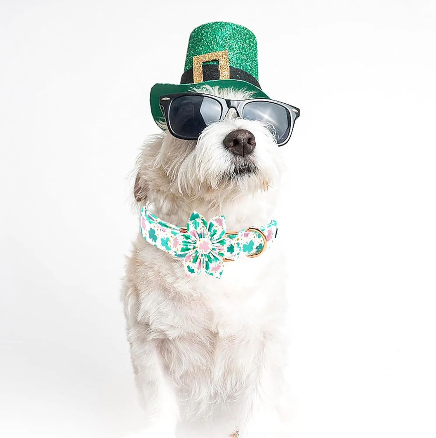 St Patrick's Dog Collar with Flower-Trefoil Dog Collar Adjustable Cute Pet Collar Cotton Clovers Dog Collar Dog Collar Holiday Puppy Collar Metal Buckle Collar Gift for Small Dogs